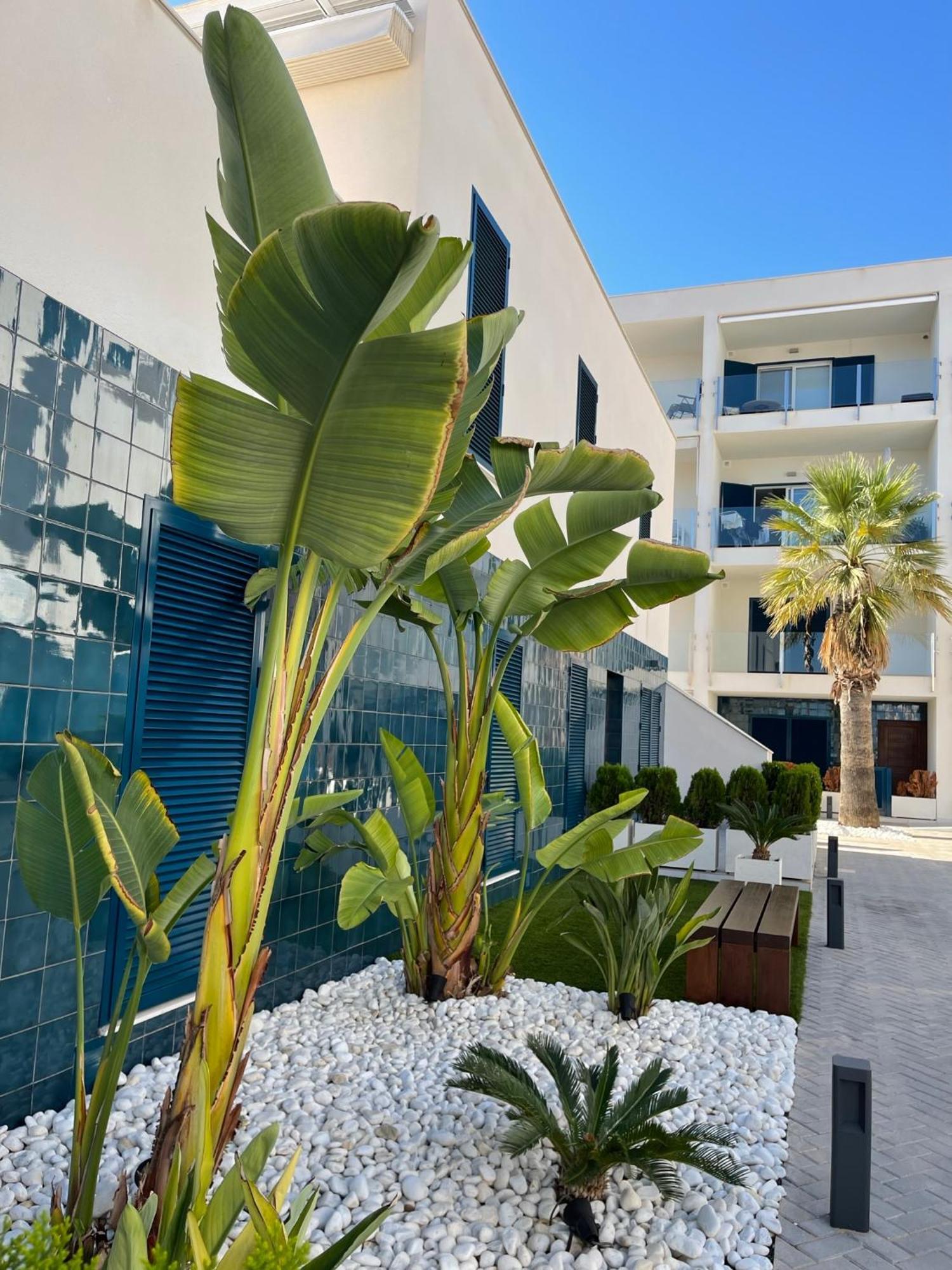 Apartmán Hola Blanca - Sea, Golf, Chill Dehesa de Campoamor  Exteriér fotografie