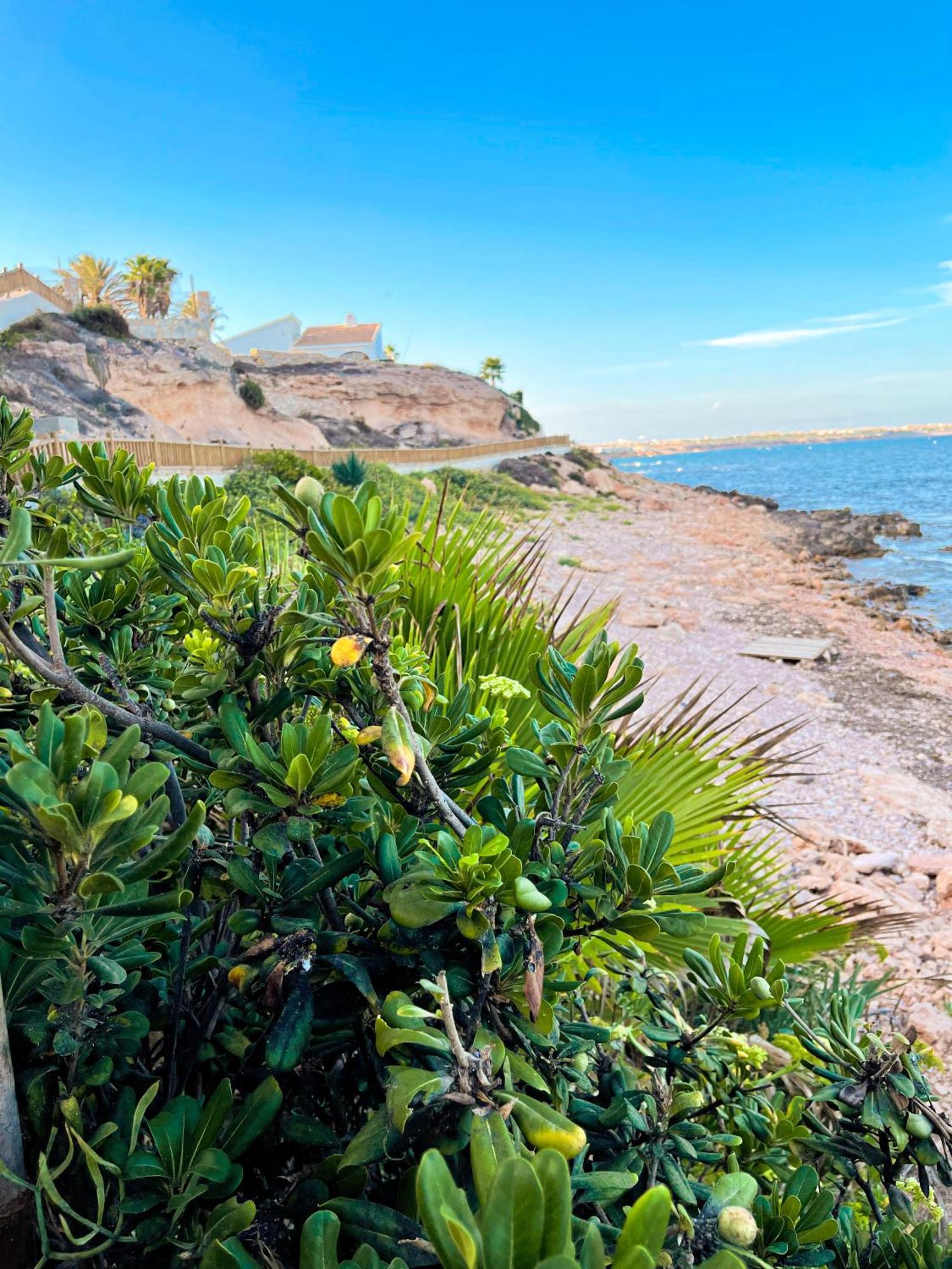 Apartmán Hola Blanca - Sea, Golf, Chill Dehesa de Campoamor  Exteriér fotografie