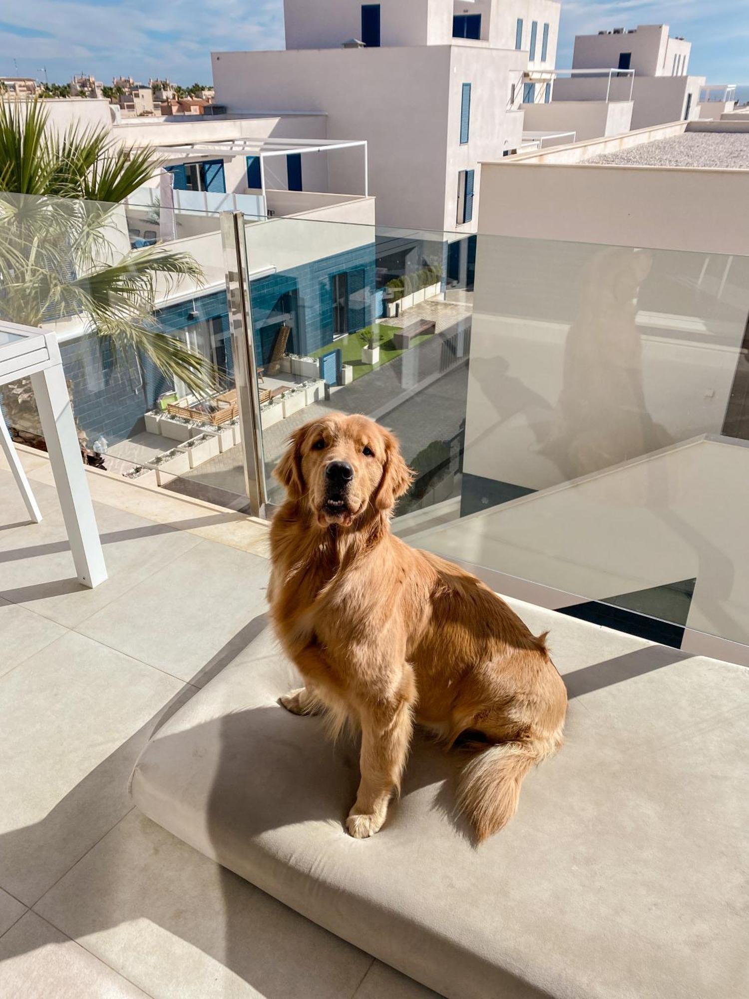 Apartmán Hola Blanca - Sea, Golf, Chill Dehesa de Campoamor  Exteriér fotografie
