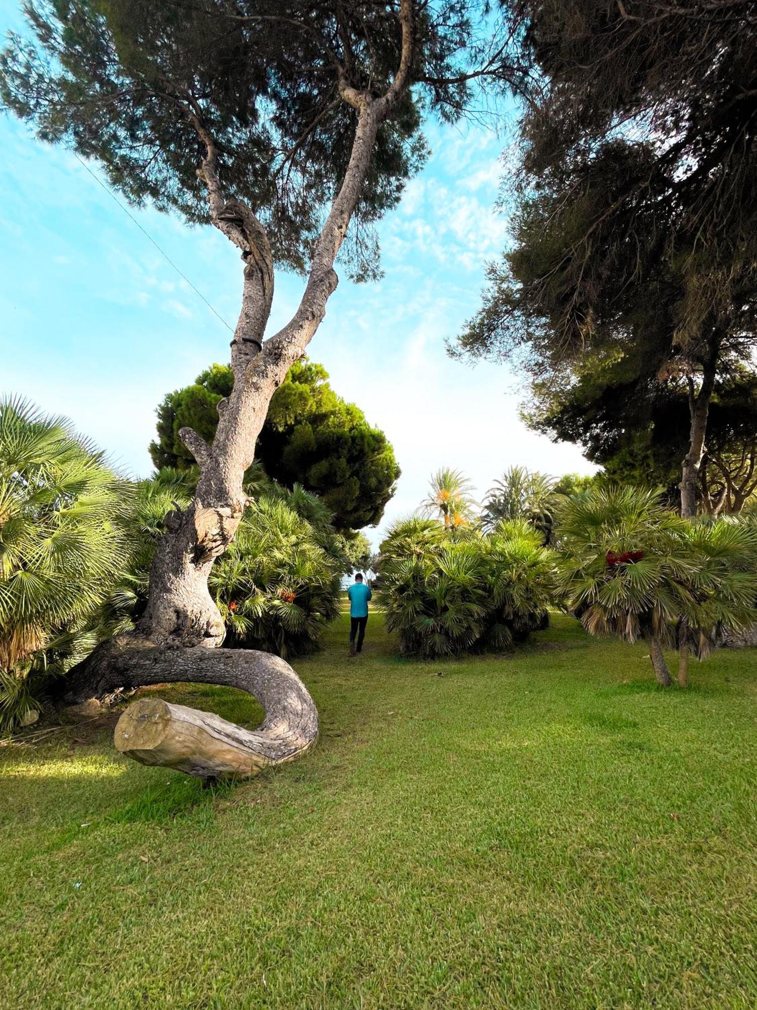 Apartmán Hola Blanca - Sea, Golf, Chill Dehesa de Campoamor  Exteriér fotografie